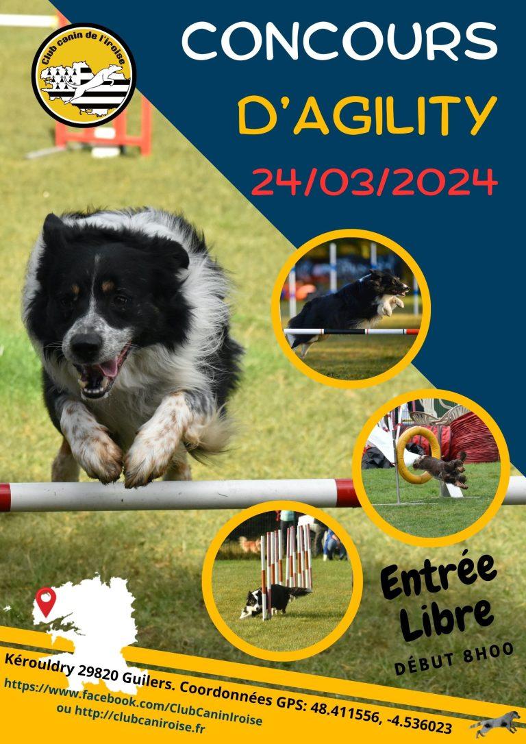 Concours Agility 2024