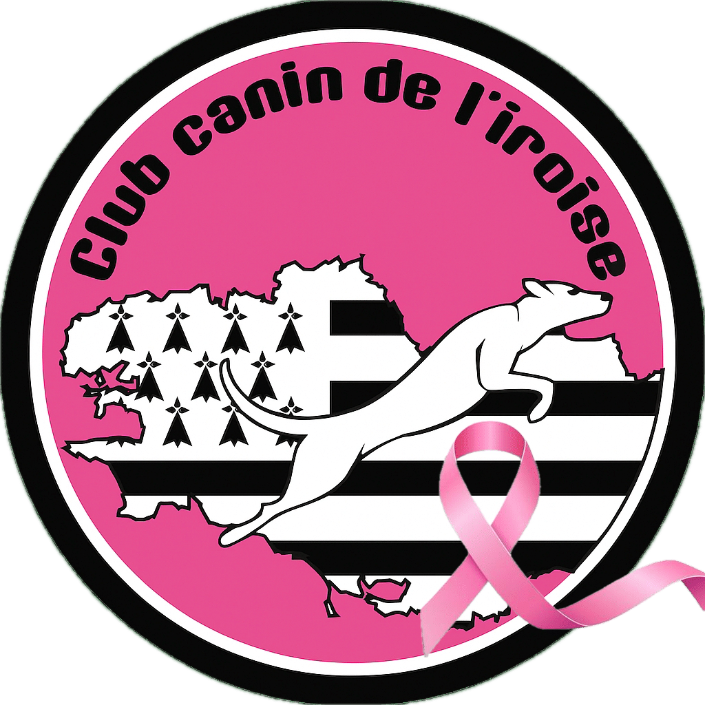 logo_octobre_rose