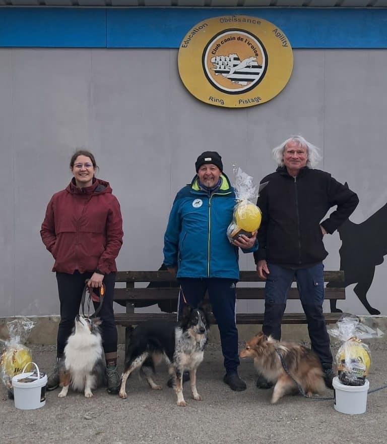 Concours Agility Iroise 2026