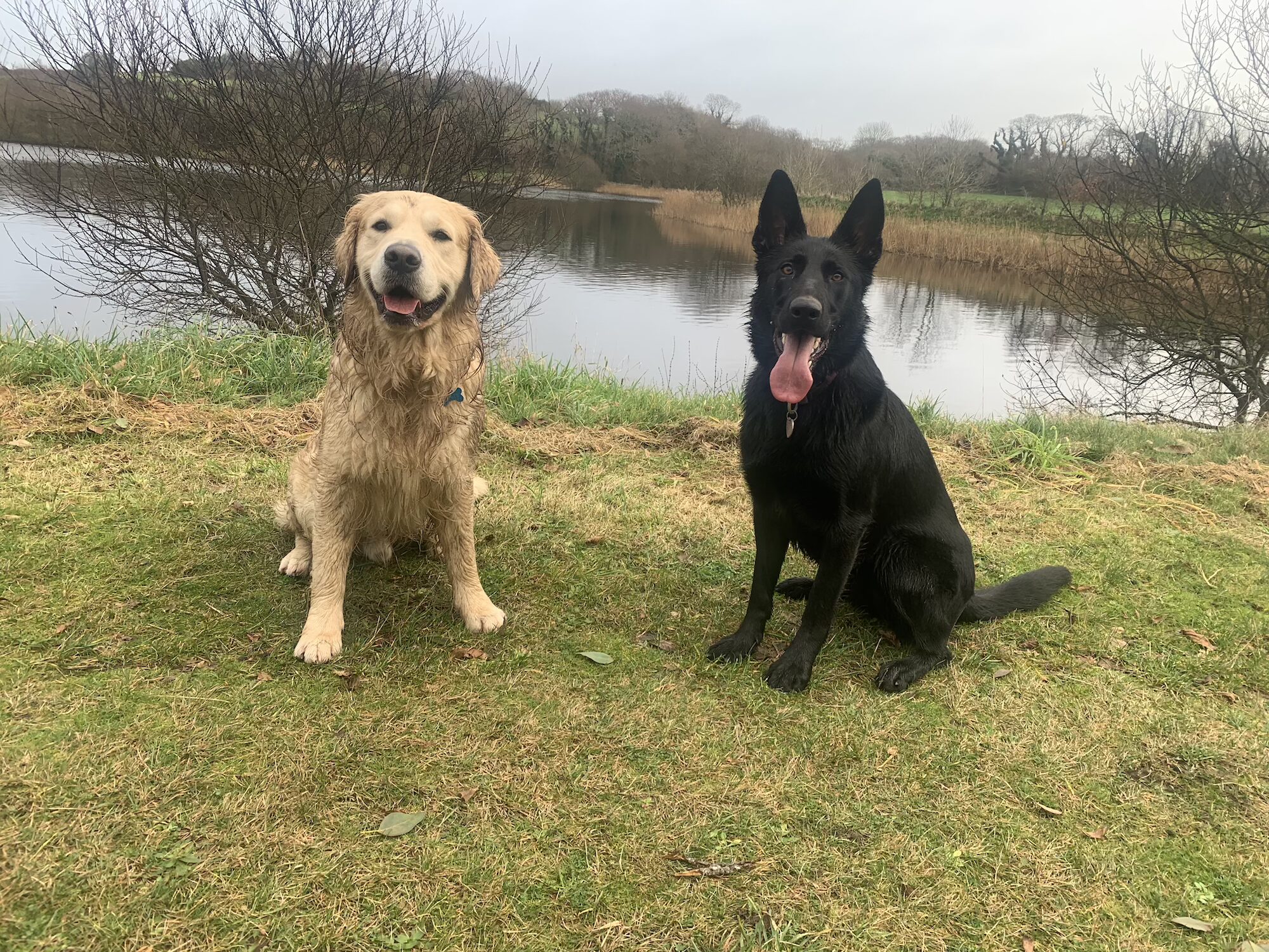 Cani Rando au bois de St Anne – Dimanche 19 Avril