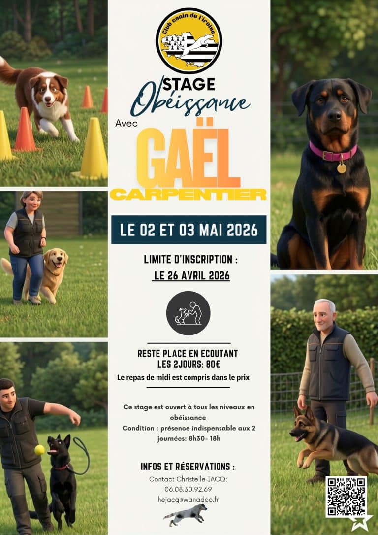 Formation Obéissance 2026