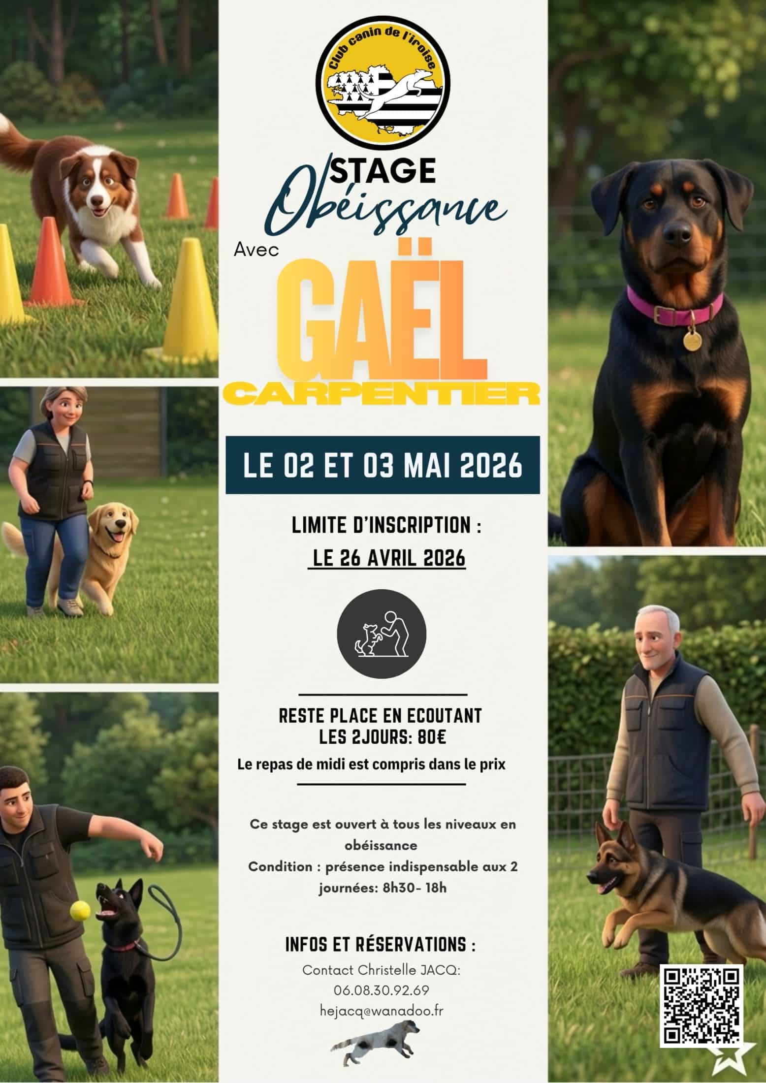 Formation Obéissance 2026