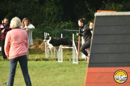 2021 09 26 Concours agility 00004