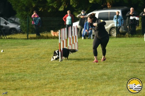 2021 09 26 Concours agility 00005