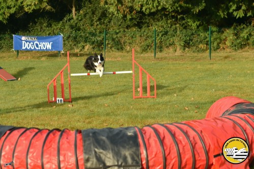 2021 09 26 Concours agility 00006