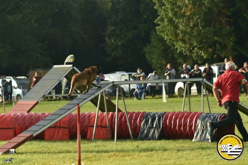 2021 09 26 Concours agility 00007