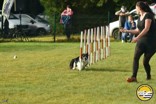 2021 09 26 Concours agility 00008