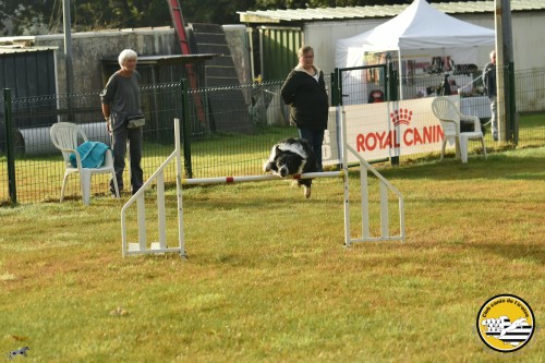 2021 09 26 Concours agility 00009