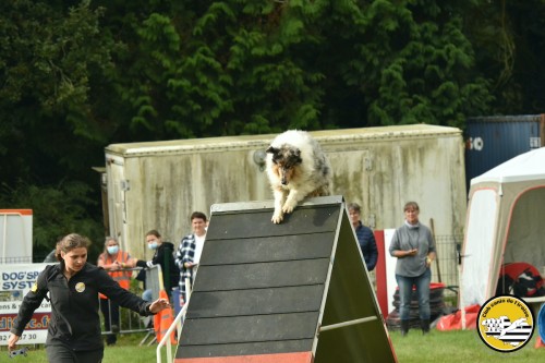 2021 09 26 Concours agility 00020