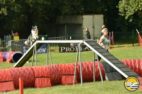 2021 09 26 Concours agility 00021