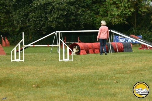 2021 09 26 Concours agility 00025