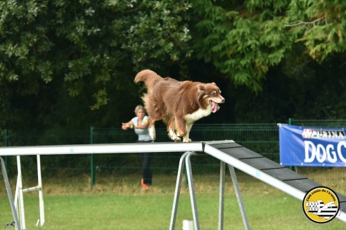 2021 09 26 Concours agility 00029