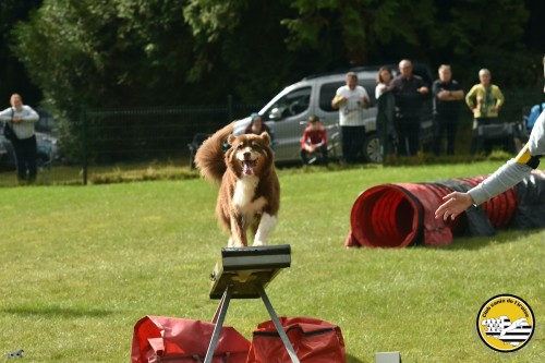 2021 09 26 Concours agility 00030