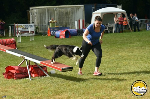 2021 09 26 Concours agility 00031