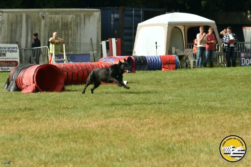 2021 09 26 Concours agility 00032