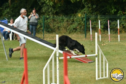 2021 09 26 Concours agility 00033