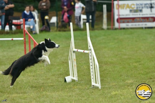 2021 09 26 Concours agility 00042