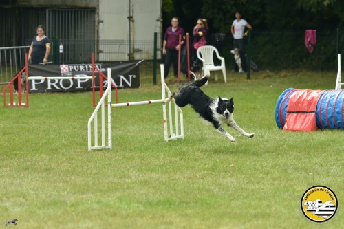 2021 09 26 Concours agility 00045