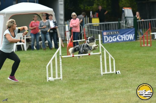 2021 09 26 Concours agility 00046