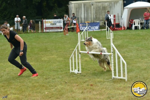 2021 09 26 Concours agility 00048