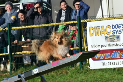 2023 03 19 Concours Agility 00007