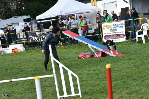 2023 03 19 Concours Agility 00013