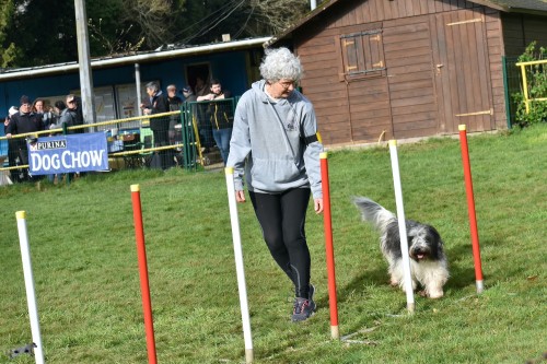 2023 03 19 Concours Agility 00015