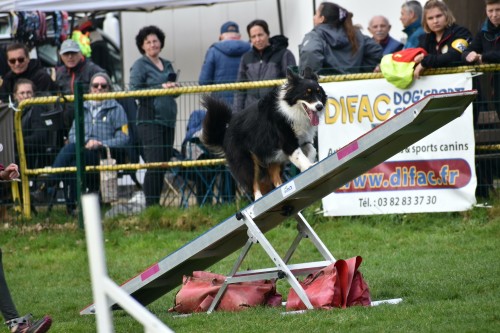 2023 03 19 Concours Agility 00017