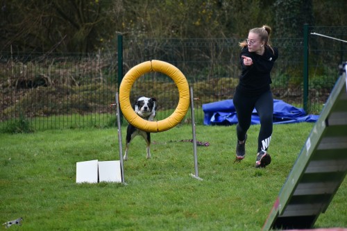 2023 03 19 Concours Agility 00018