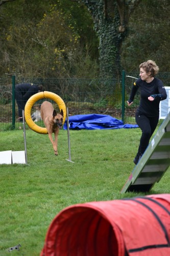 2023 03 19 Concours Agility 00022