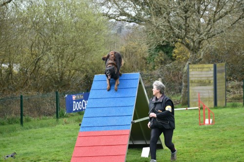 2023 03 19 Concours Agility 00024