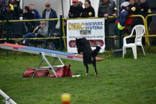 2023 03 19 Concours Agility 00026