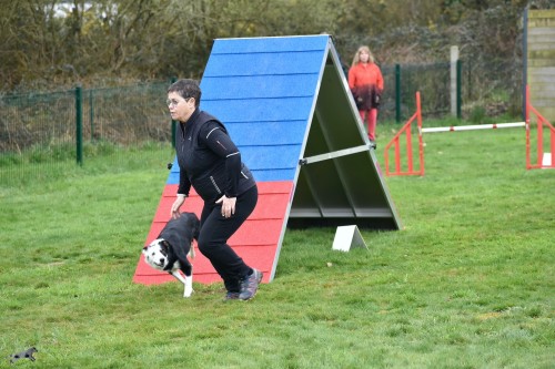 2023 03 19 Concours Agility 00027