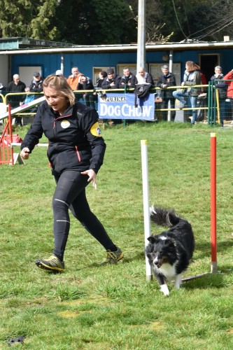 2023 03 19 Concours Agility 00031