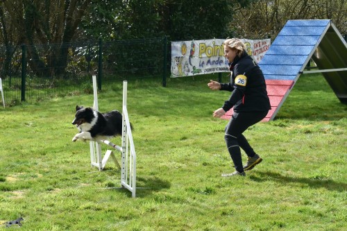 2023 03 19 Concours Agility 00032
