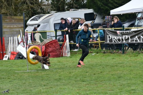 2023 03 19 Concours Agility 00034