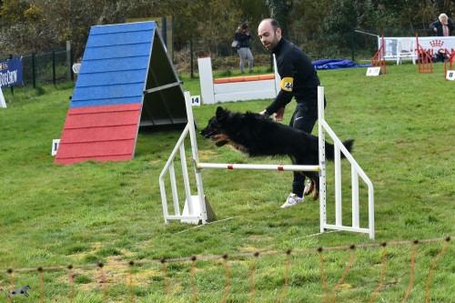 2023 03 19 Concours Agility