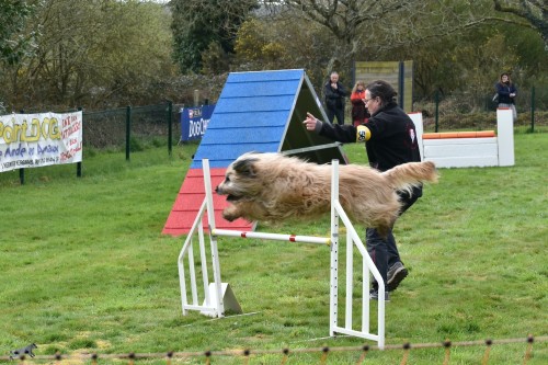 2023 03 19 Concours Agility 00036