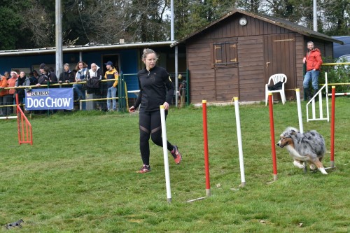 2023 03 19 Concours Agility 00037