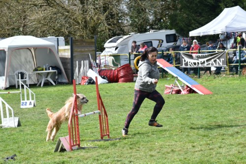 2023 03 19 Concours Agility 00038