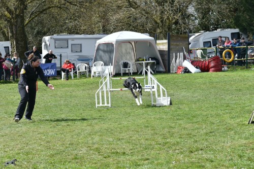 2023 03 19 Concours Agility 00039