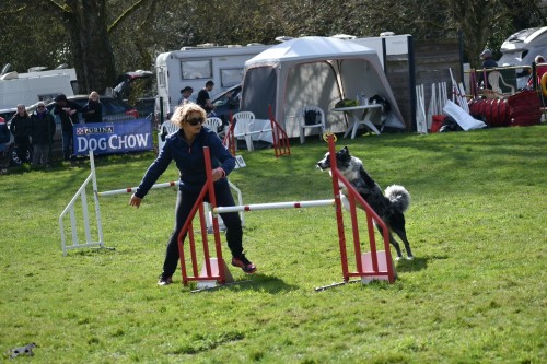 2023 03 19 Concours Agility 00043