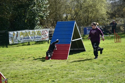 2023 03 19 Concours Agility 00044