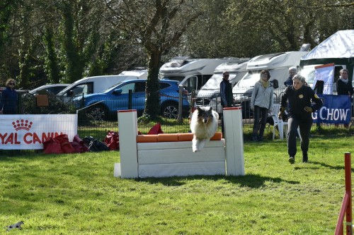 2023 03 19 Concours Agility 00046