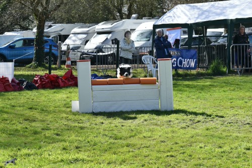 2023 03 19 Concours Agility 00048