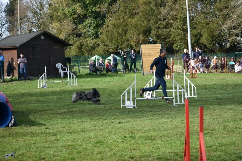 2023 03 19 Concours Agility 00050